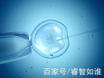 王主任