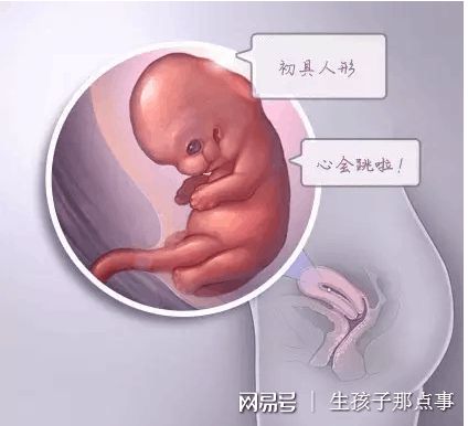 陈主任